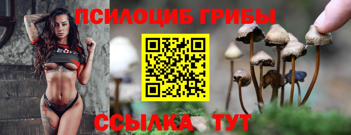Саров  Псилоцибиновые грибы ЛСД  Вход с VPN 